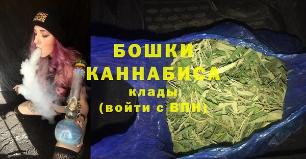 прущие грибы Сатка