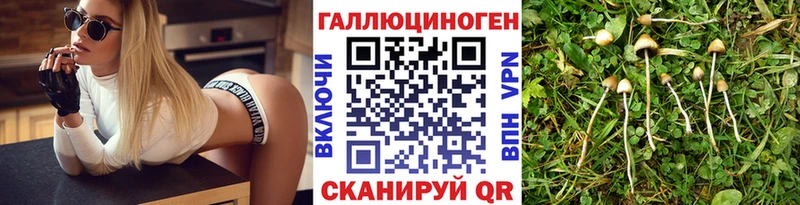 Псилоцибиновые грибы прущие грибы  даркнет сайт  omg ONION  Чусовой 